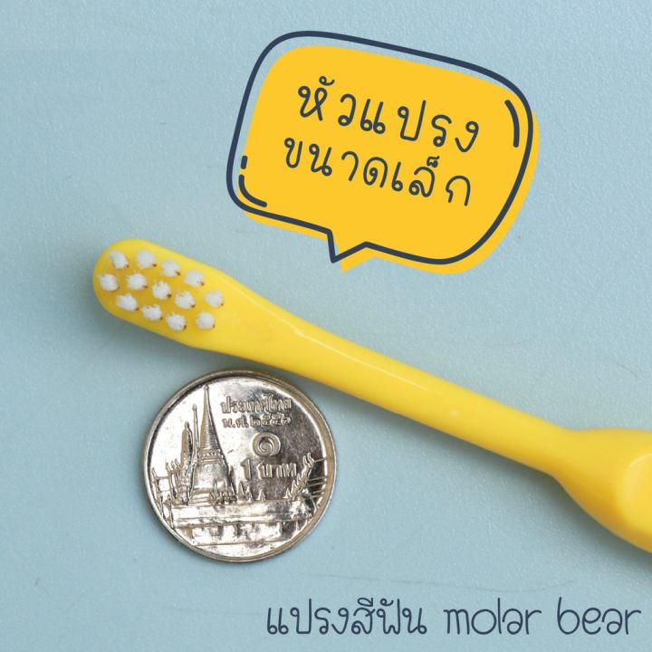 molar-bear-แปรงสีฟันเด็ก-0-3-ขวบ-ขนนุ่ม-หัวแปรงขนาดเล็ก