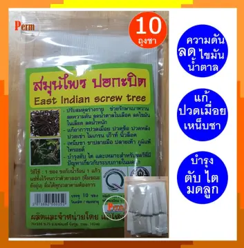 ชาสมุนไพรลดความดัน ราคาถูก ซื้อออนไลน์ที่ - ก.ย. 2023 | Lazada.Co.Th