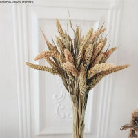 10pcs Free Shipping Dried Xiaomi Grass Bouquet Pure Natural Plant For Wedding Home Decoration Craft NO Vase