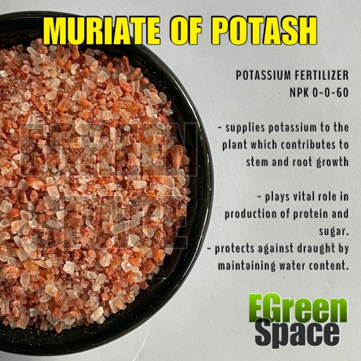 Mop Muriate Of Potash 200g Plant Fertilizer Lazada Ph