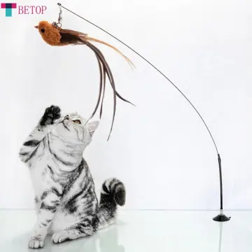Cat Feather Toys - Best Price in Singapore - Feb 2024