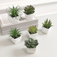 6PCS Home Decoration  Mini Evergreen Artificial Succulent Small Potted Plants Pipe Fittings Accessories