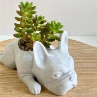 【hot】ↂ☒ Dog Succulent Ornaments Handicraft Garden Lawn