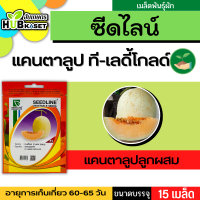 ซีดไลน์ ?? แคนตาลูป ที-เลดี้โกลด์ ขนาดบรรจุประมาณ 15 เมล็ด อายุเก็บเกี่ยว 60-65 วัน