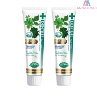 (แพ็ค 2) Dentiste Premium Care Toothpaste Tube  เดนทิสเต้ยาสีฟันสูตรพรีเมี่ยมแคร์  หลอด100กรัม  [MMDD]