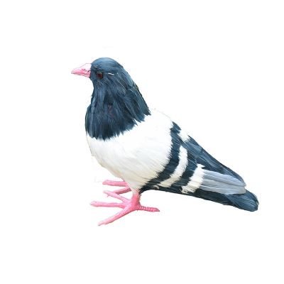 Simulation animal model shooting props dove dove real feather wedding window decoration furnishing articles false pigeons