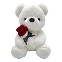 Valentines Day Gifts Teddy Bear Plush Stuffed Animal 24 Inch Plush Toy with Gift for Her and Kids