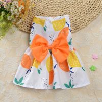 Summer Printed Pet Dog Cotton Dress Cute Princess Skirts Pet Dress For Small Medium Dogs Skirt Dog Wedding Dresses York Clothes Clothing Shoes Accesso