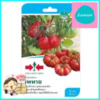 มะเขือเทศฟักทอง เพทาย ศรแดงTOMATO SEED EAST-WEST SEED PHEYTHAI **ทักแชทได้ค่ะ ยินดีบริการ**