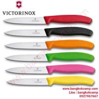 มีดครัว Victorinox Paring Knife 10 cm ใบเรียบ