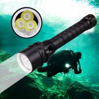 Underwater 100M Diving Flashlight Lanterna 10W PURPLE UV LED Light Lamp Scuba Diving Flashlight Torch Dive Light Rechargeable Flashlights