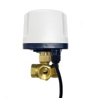 1/2 3 Way IP65 Waterproof Motorized Ball Valve 220V 12V 24V 3-Wire 2 Control T/L Type Brass Electric Ball Valve