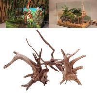 【CW】Natural Tree Trunk Driftwood Aquarium Fish Tank Reptile Cylinder Roots Plant Wood Decoration Ornament Accessory Aquarium Plants