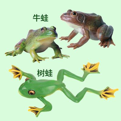 Frog simulation animal model bullfrog tree frog child early education cognitive toy ornament decorative insect set