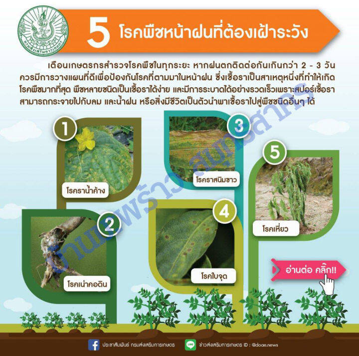 แซดคลอราช-45-โพรคลอราช-45-1-000-ซีซี-ตรา-แซดยู-zu-ป้องกันกำจัด-โรคใบจุด-โรคใบไหม้-โรคราสนิม-โคนเน่า-ใบไหม้-เแอนแทรคโนส-ใบแห้ง-กำจัดเชื้อรา