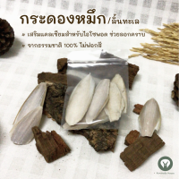 กระดองปลาหมึก/ลิ้นทะเล (Organic cuttlebone) อาหารเสริมแคลเซียมไอโซพอด นก ไก่ เต่า ธรรมชาติ100% ไม่ฟอกสี ?