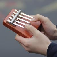 5 Keys Mini Kalimba Thumb Piano Portable Exquisite Finger Harp Easy-to-Learn Musical Mbira Instrument Beginner Kids Adult Gift