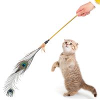 Pet Cat Feather Toy bells Cute Design Wire Feather Teaser Wand Plastic Toy Cat Play Feather Teaser Toy For Cat interactive fun
