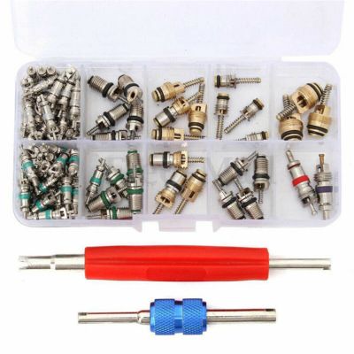 Auto Car R12 R134a A/C Air Conditioners Valve Core Remover Tool Kit 102pcs/Set For Buick Series for Beverly Universal etc
