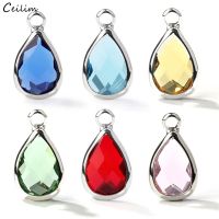 10pcs/Lot Crystal Birthstone Charms for Handmade DIY Bracelet Making Silver Plated Small Water Drop Pendants Jewelry Accessories DIY accessories and o