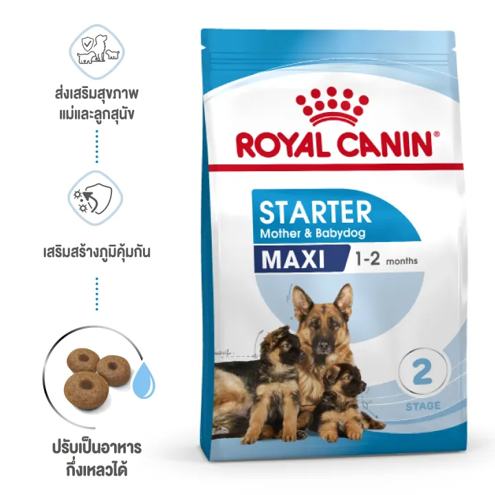 royal-canin-maxi-starter-1-kg-ออาหารแม่สุนัข-และลูกสุนัขพันธุ์ใหญ่-ชนิดเม็ด-maxi-starter