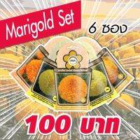 AGA Shop  เมล็ดพันธุ์ชุดดาวเรืองมหาโชค (Marigold Set) 6 ซอง