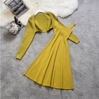 Cultivate Ones Morality Sense Of Qiu Dong Season New Senior Sweater Knitting Dress Core-Spun Yarn Two-Piece Women 8714