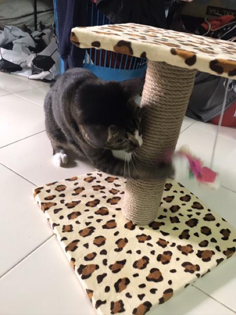 คอนโดแมวเหลี่ยม-ที่ลับเล็บแมว-ขนาด-30-cm-tcd02-ของเล่นแมว-ที่นอนแมว-cat-tree-condo