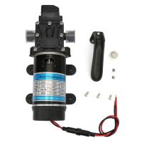 12V/24V 120W Electric Water Pump 10L/m Self Priming Diaphragm Pump for High Pressure Washer(12V