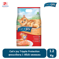 Cat n Joy Tripple Protection สูตรแมวโต รสแซลมอน ขนาด 1.2 KG.