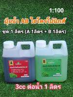 ปุ๋ยน้ำ AB สูตรเข้มข้น (1:100) สำหรับปลูกผักไฮโดรโปนิกส์ (1 ลิตร x 2 แกลลอน) ธาตุอาหารครบใช้ดี ราคามิตรภาพ