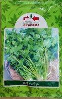 ผักชี สายพิรุณ (300 กรัม) เมล็ดพันธุ์ เมล็ดพันธุ์ผัก เมล็ดพันธุ์พืช ผักสวนครัว ตราศรแดง หมดอายุ 10/07/2566