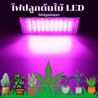 LED Grow Light ไฟปลุกต้นไม้LED ไฟช่วยต้นไม้โตเร็ว 50Wแสงม่วง (ใช้ไฟบ้าน 220V)