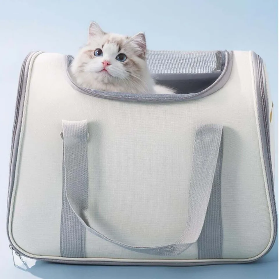 Cat carrier clearance alternative