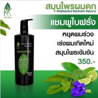 แชมพูสมุนไพร #แชมพูลดผมร่วง #แชมพูปลูกผมดก ขนาด 300 ml