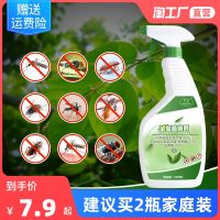 Insecticide Spray Household Indoor Restaurant Dormitory Bed Culicide Fly Aerosol Sewer Roach Killer Non-Toxic