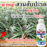 ?สูตรเข้มข้น?กำจัดหญ้าไร่มัน ฉีดหญ้าสับปะรด 500 cc. กำจัดหญ้าใบแคบ ใบแหลม ฉีดทับ แตงกวา กำจัดหญ้าผัก กำจัดหญ้า ชุดกำจัดหญ้า กำจัดหญ้าใบแคบ ฆ่าหญ้ามัน ฆ่าหญ้าในมัน ฆ่าหญ้าไร่สับปะรด