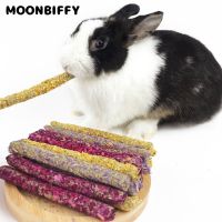 6Pcs Pet Snack Stick Molar Chewing Toy Small Pet Dental Care Chewing Snack Toothpaste for Hamster Chinchillas Rabbit Accessories