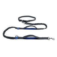 Benepaw Dual Handles Hands Free Dog Leash Running Reflective Stitching Handsfree Pet Leash For Medium Large Dogs Hiking