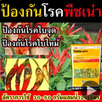 สารป้องกันเชื้อรา 100 กรัม (พืชทุกชนิด) ชนิดผง โรคเน่าพืชโรคกาบใบแห้ง, โรคกาบใบเน่า, โรคใบจุดสีน้ําตาล, โรคใบมีด, โรคไหม้, จุดตากบ , ยาป้องกันเชื้อรา  น้ำยาป้องกันเชื้อรา  ผงป้องกันเชื้อรา  สารยับยั้งเชื้อรา  ยายับยั้งเชื้อรา น้ำยายับยั้งเชื้อรา ใช้ดี