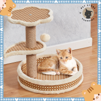 ?Pet Store? ที่ฝนเล็บแมว ที่ลับเล็บแมว อุปกรณ์สัตว์เลี้ยง ที่ขูดเล็บแมว ของเล่นแมว สูง 43 CM ✨พร้อมส่ง✨