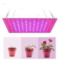 Power LED Plant Grow Light Lamp Kit Phytolamp For Flower 2835 Beads Growth Lighting Full Spectrum Indoor Hydroponics YB1TH