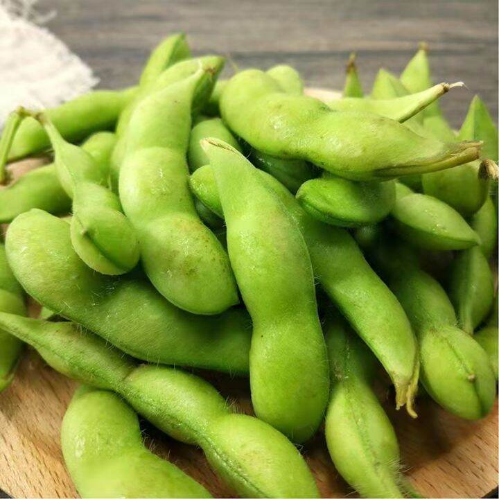 [Fast Germination] 40pcs/bag Organic Edamame Seeds for Planting Hybrid