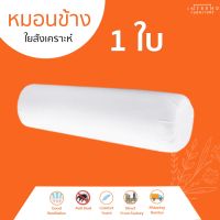 Furniture Intrend หมอนข้างใยสุขภาพ ป้องกันไรฝุ่น (White) 1 ใบ