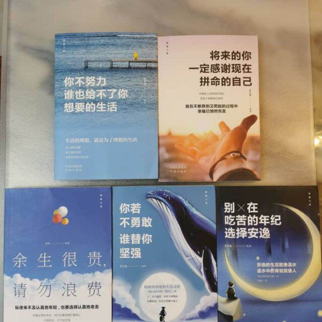Chinese Business Book 中文书本(5本) 你不努力誰也给不了你想要的生話將来的你一定感谢现在拼命的自已余生很贵己 Lazada