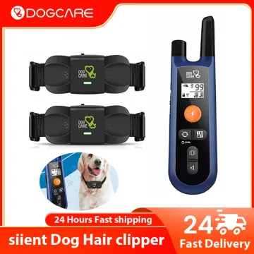 Dog training collar cheap dog care