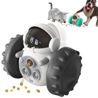 Toys for Dog Interactive Dog Cat Food Dispenser Tumbler Balance Toys Pet Increases IQ Slow Feed Dog Cat Training Toys Pet Items Toys