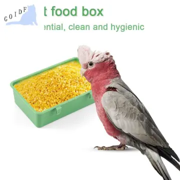 Multifunction Creative Green Food Tray Parrot Bathtub Animal Cage