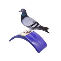 2 Pcs Birdcage Stands Pigeon Perch พลาสติกทนความร้อน Dove Rest Roost Bird Stand Holder Supplies