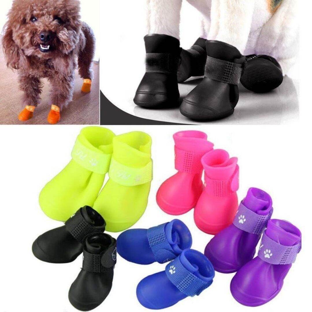 best winter boots for shih tzu